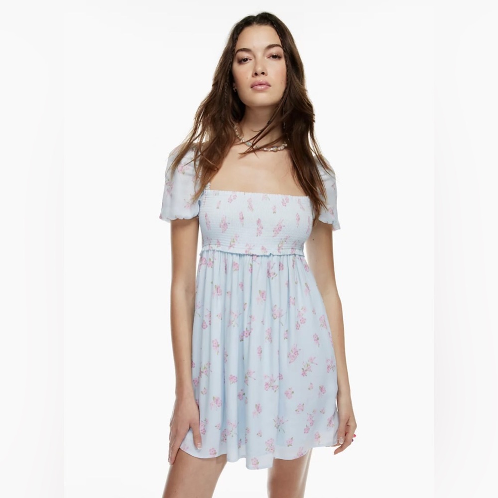 Aritzia Floral Dress